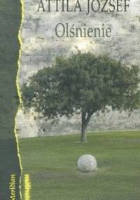 Olśnienie - Attila József