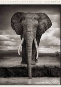 On This Earth - A Shadow Falls - Nick Brandt