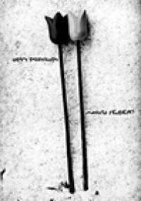 Opisy przyrody - Marcin Sendecki