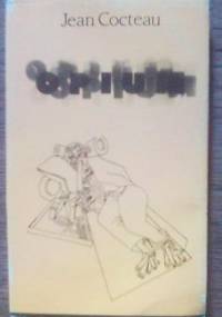 Opium. Dziennik kuracji odwykowej - Jean Cocteau