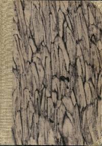 Opowiadania o Leninie - Aleksander Kononow