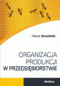 Organizacja produkcji w przedsiębiorstwie - Marek Brzeziński