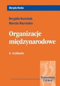 Organizacje międzynarodowe - Brygida Kuźniak, Marcin Marcinko