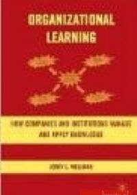 Organizational Learning - J. Wellman