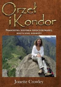 Orzeł i kondor. Prawdziwa historia nieoczekiwanej, mistycznej podróży.