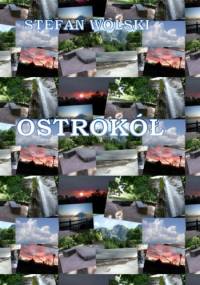 Ostrokół - Stefan Wolski