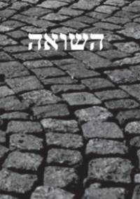 Pamięć Shoah. Kulturowe reprezentacje i praktyki upamiętniania