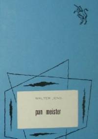 Pan Meister: Dialog o pewnej powieści - Walter Jens