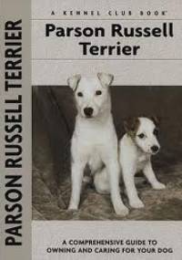 Parson Russell Terrier - Christina Petersall