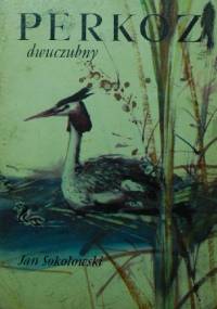 Perkoz dwuczubny - Jan Sokołowski