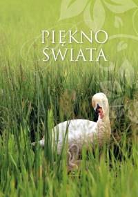 Piękno świata - Malwina Błażejczak