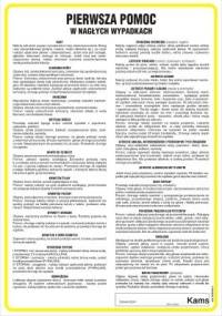 Pierwsza pomoc w nagłych wypadkach - Paweł Krzywda