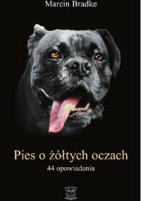 Pies o żółtych oczach - Marcin Bradke