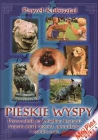 Pieskie wyspy - Paweł Kubisztal