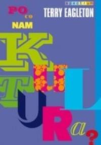Po co nam kultura? - Terry Eagleton