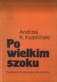 Po wielkim szoku - Andrzej K. Koźmiński