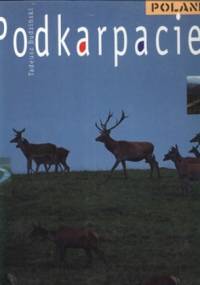 Podkarpacie - Tadeusz Budziński