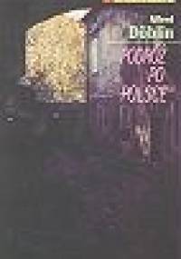 Podróż po Polsce - Alfred Döblin