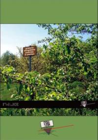 Podróże w pamięć - Grażyna Obrąpalska