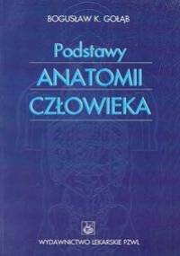 Podstawy anatomii człowieka - Gołąb Bogusław K. - Bogusław K. Gołąb