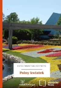 Polny kwiatek - Hans Christian Andersen