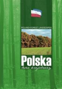 Polska. Leśne krajobrazy.
