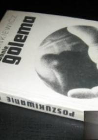 Poszukiwanie Golema - Piotr Sienkiewicz