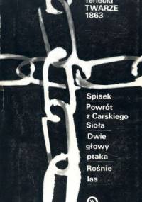 Powrót z Carskiego Sioła - Władysław Terlecki