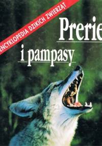 Prerie i pampasy - Catherine Nicolle