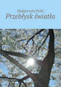 Przebłysk światła - Polit Małgorzata