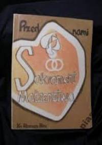 Przed nami sakrament małżeństwa - Roman Perz