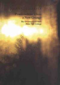 Prześwietlone klisze z New Grange - Joanna Ślósarska