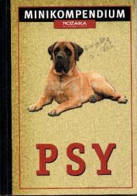 Psy. Minikompendium - Rino Falappi