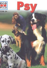 Psy - Peter Teichmann