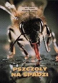 Pszczoły na spadzi