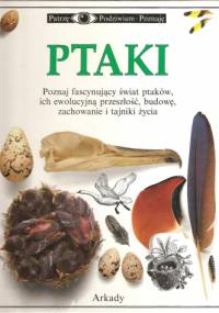Ptaki - David Burnie