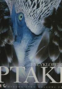Ptaki. Encyklopedia - praca zbiorowa