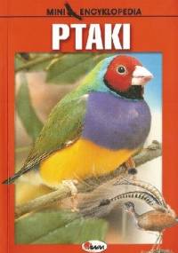 Ptaki - Paweł Kozłowski