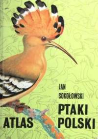 Ptaki Polski - Jan Sokołowski