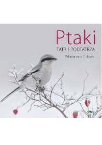 Ptaki Tatr i Podtatrza - Włodzimierz Cichocki