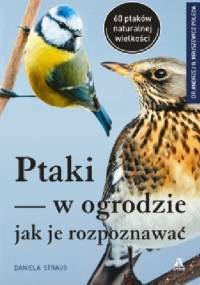 Ptaki w ogrodzie. Jak je rozpoznawać - Daniela Strauss