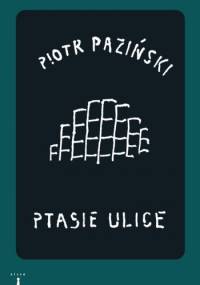 Ptasie ulice - Piotr Paziński