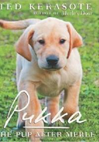 Pukka : The Pup After Merle - Ted Kerasote