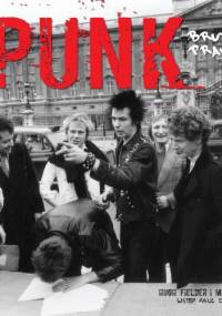 Punk. Brutalna prawda