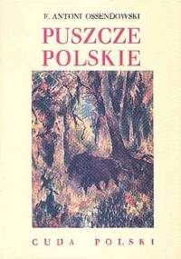 Puszcze polskie - Antoni Ferdynand Ossendowski