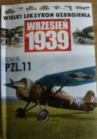 PZL.11 - Wojciech Mazur