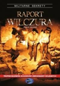 Raport Wilczura - Jacek E. Wilczur