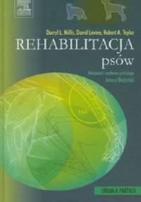 Rehabilitacja psów