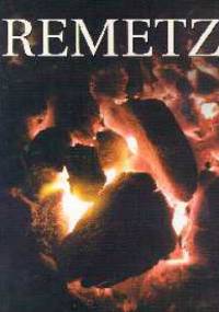 Remetz Wspomnienia z lat 1939-1944 - Remetz Jan Yohay