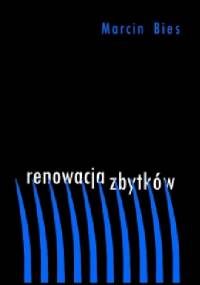 Renowacja zabytków - Marcin Bies